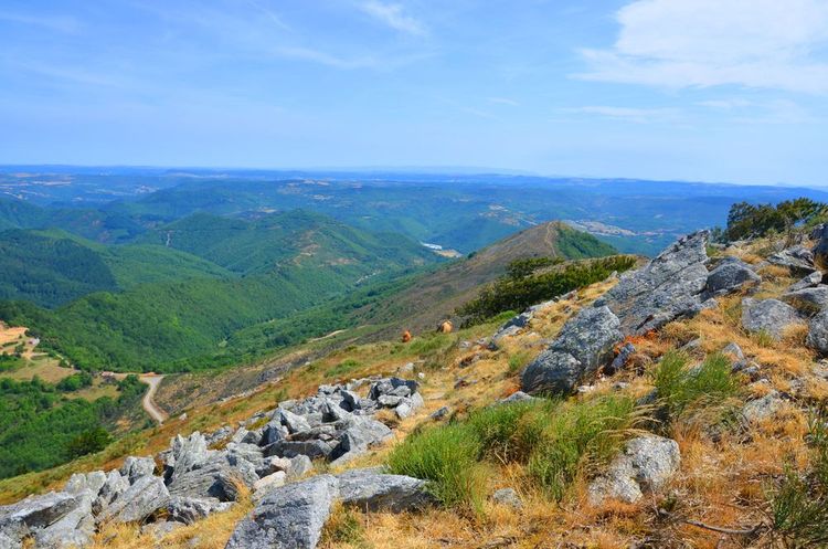 Parc National des Cévennes