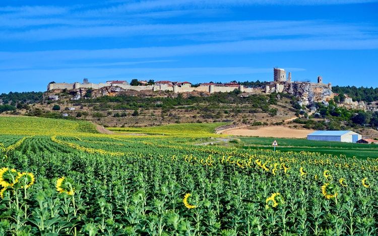 Calatañazor et ses remparts, province de Soria, Castille-et-Léon