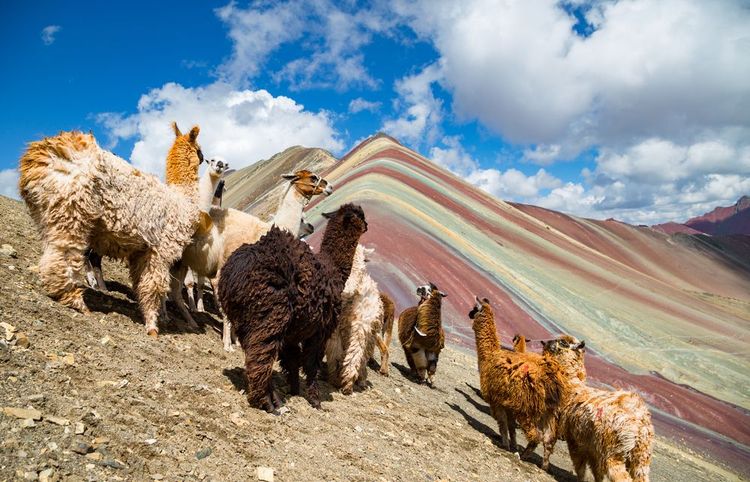 Montagne Vinicunca, Pérou