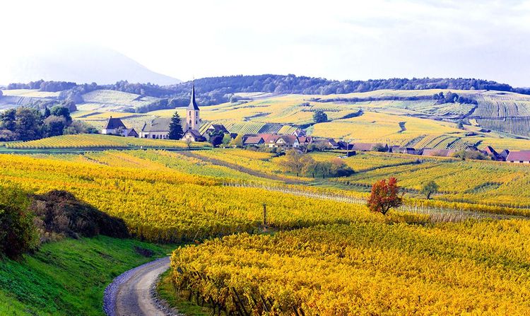 Le village de Mittelbergheim, Alsace