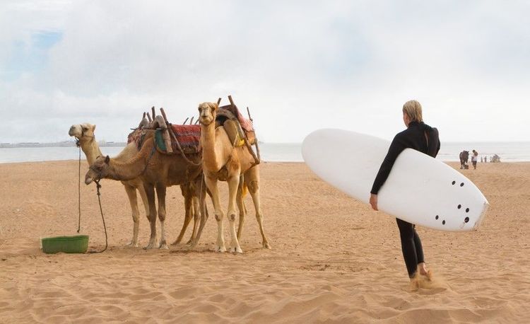 On surfe également ici dès que la mer s'y prête