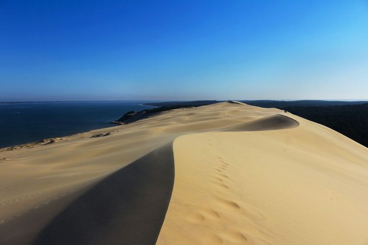 La Dune du Pyla