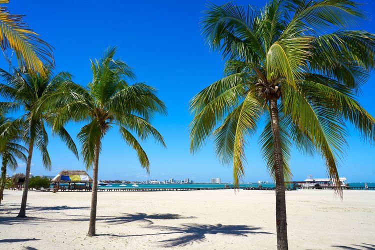 La très recherchée Playa Langosta à Cancun