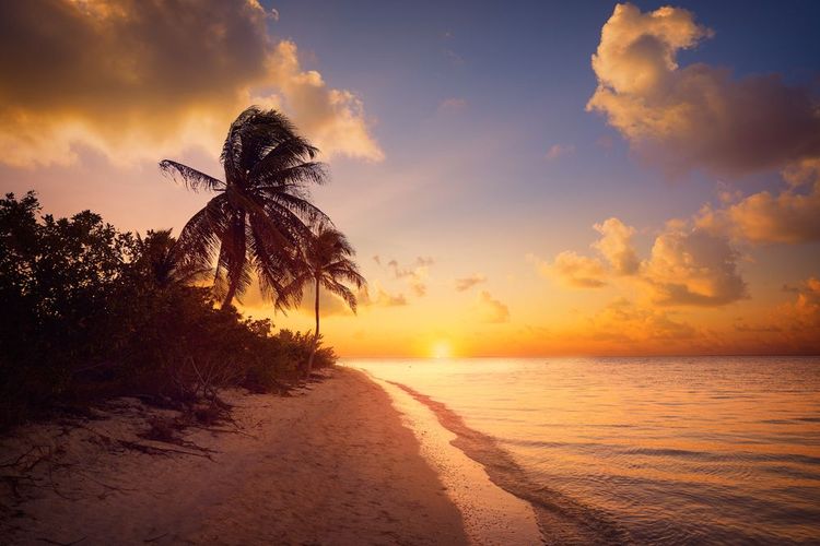 Iles Holbox, Mexique