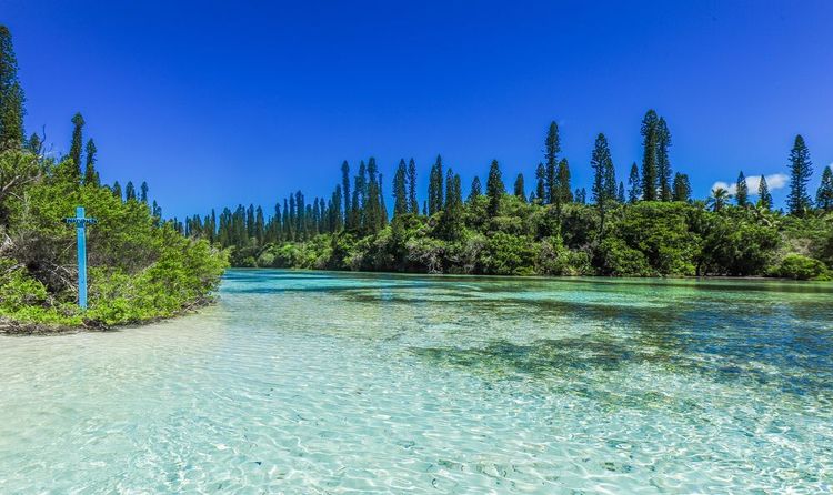 Oro Ile des Pins, Nouvelle Calédonie