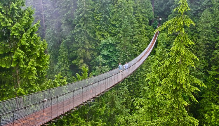 El puente colgante de Capilano, un original paseo cerca de la ciudad