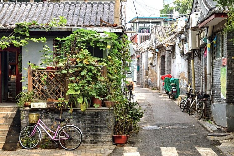 Hutong typique à Pékin
