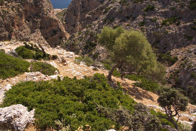 Mieux vaut arriver à Moni Gouverneto par la route, le reste du relief est difficilement praticable