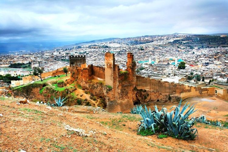 Vue sur Fes el Bali et sa médina, depuis les vestiges de l'ancienne kasbah des Mérinides (Borj Nord)