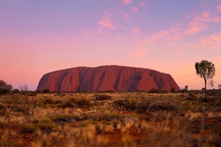 Parc national d'Uluru Kata Tjuta, Yulara