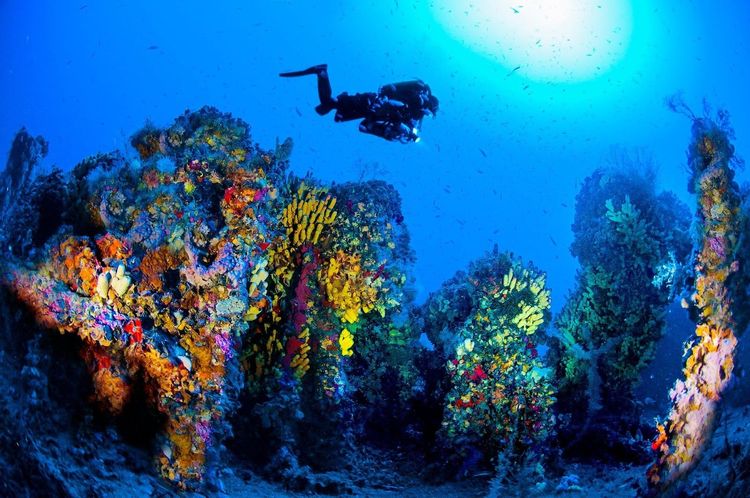 Un plongeur dans les fonds marins de l'archipel de Malte / © Malta Tourism Authority