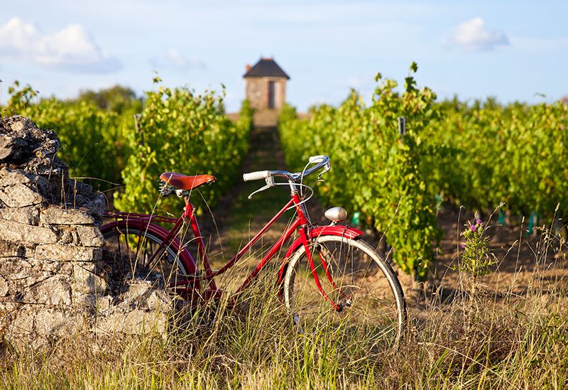 La Sauternaise, luxury Boutique B&B