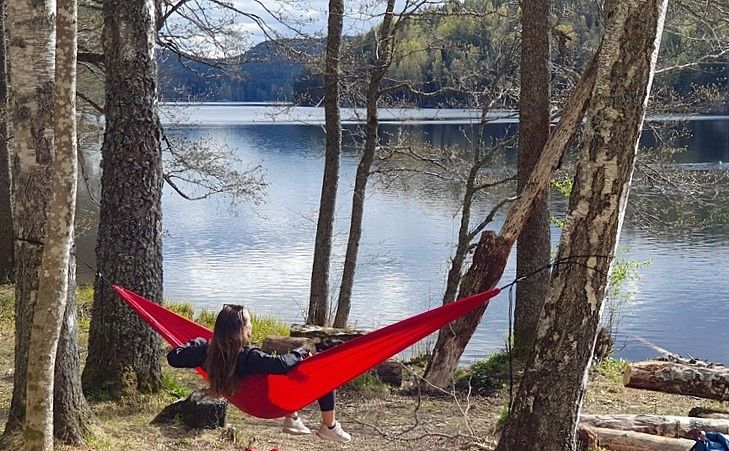 Voyage au cœur des parcs forestiers de Nordmarka, Østmarka et Baerums-marka, les joyaux cachés d'Oslo