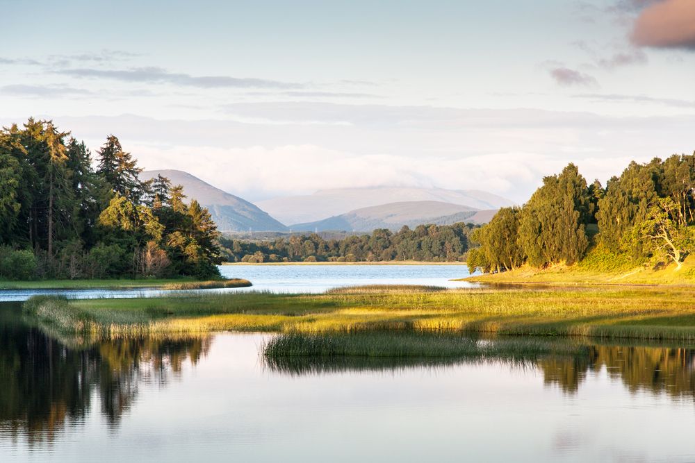 Visite des montagnes de Cairngorms, de Bonnie Lochs et des forêts anciennes
