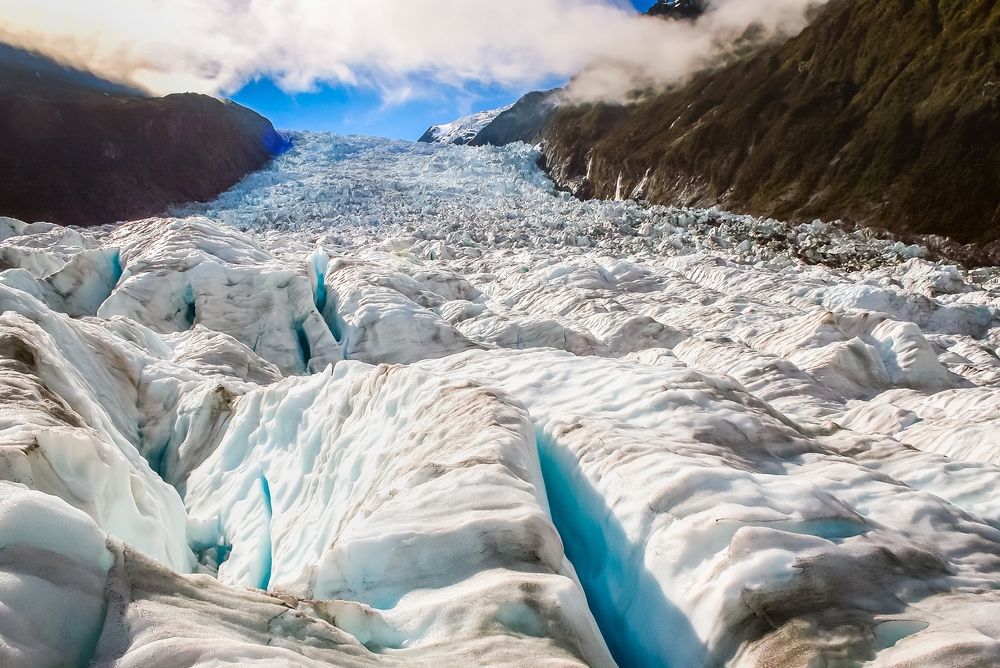 Visite de la nature aux alentours du glacier Franz Josef