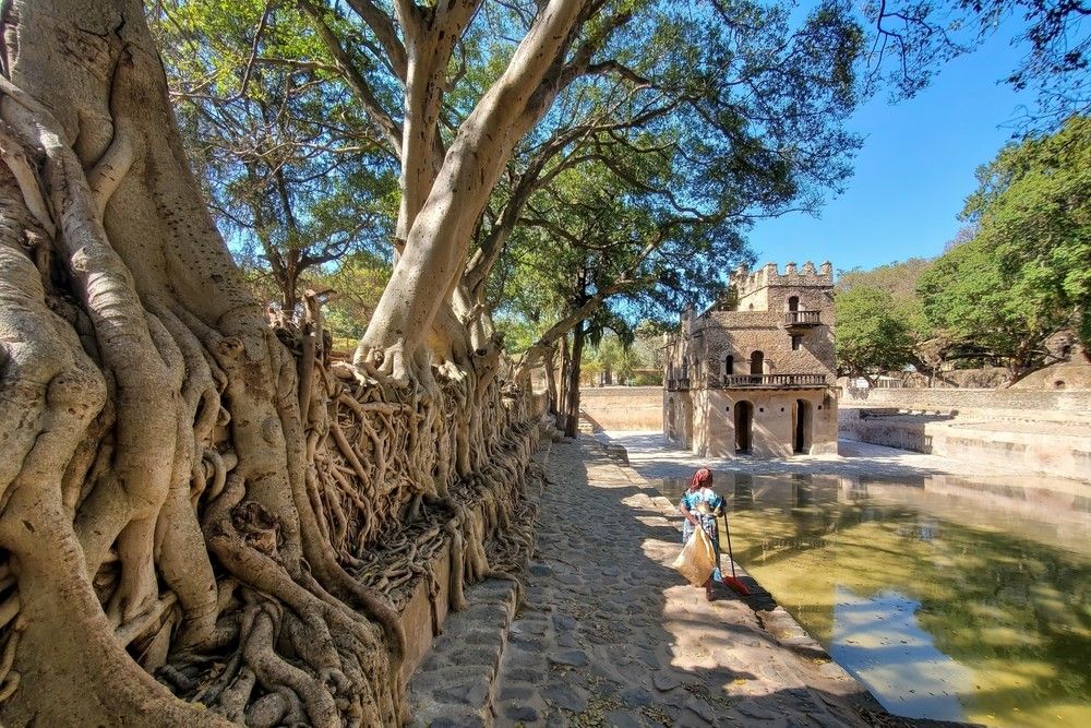 Réservez votre visite guidée privée d'une journée des principaux sites de Gondar