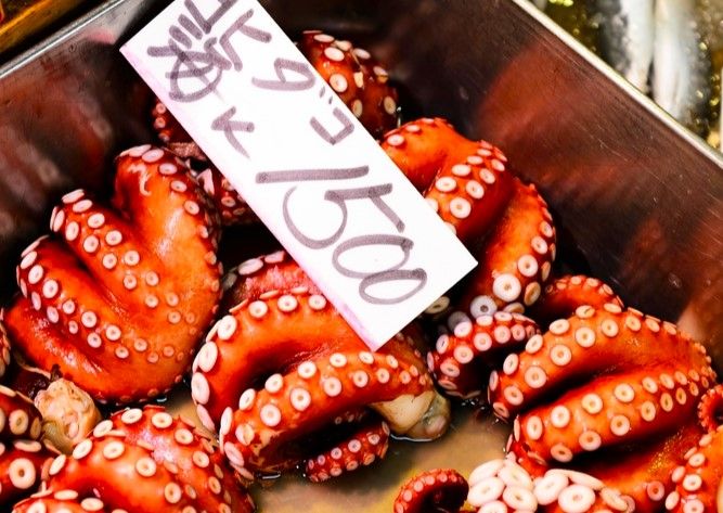 Poulpes au marché