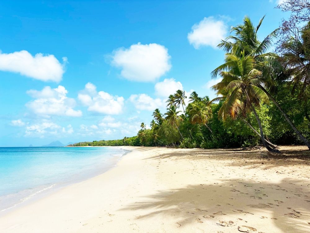 Partez en Martinique avec ce bon plan !