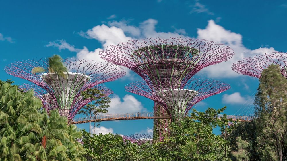 Choisissez votre séjour à Singapour !