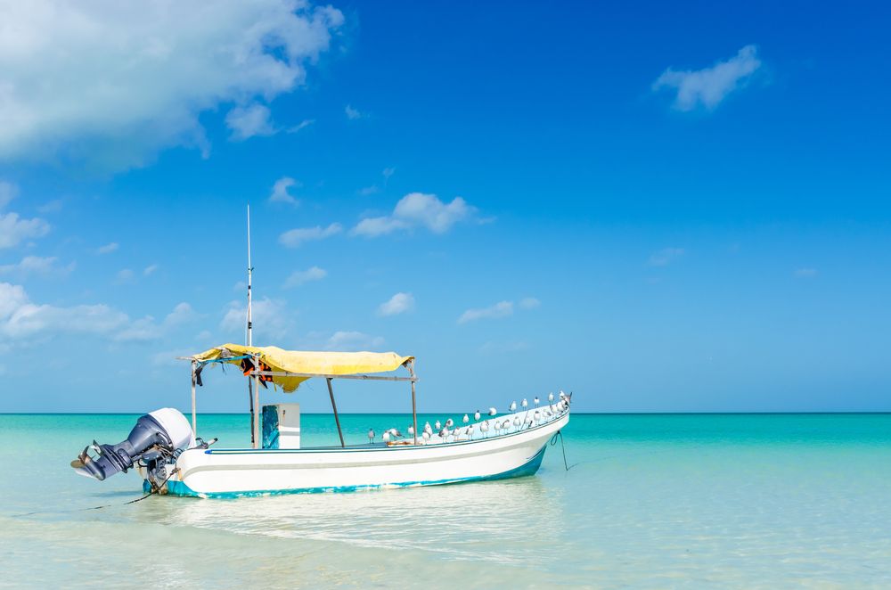 Réservez votre excursion pêche et snorkeling jusqu'à Cabo Catoche !