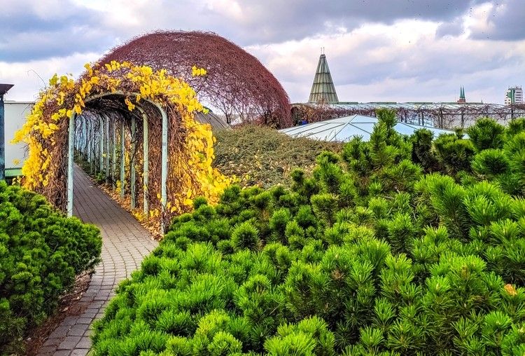 La végétation luxuriante offre un havre de verdure sur le toit