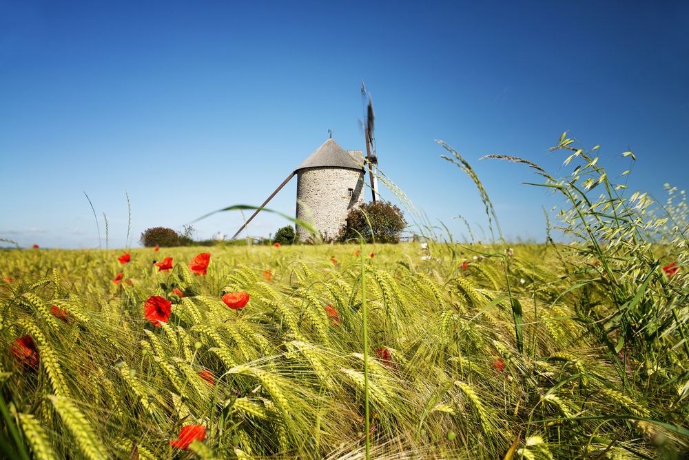 Partez une semaine en Basse-Normandie