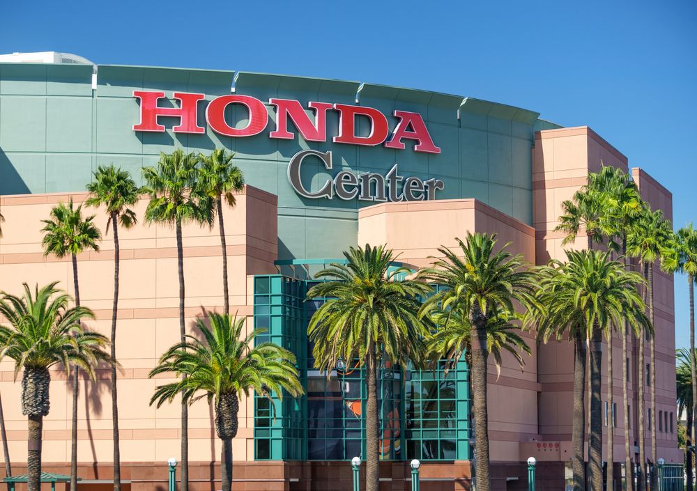 🏒 Biglietto per una partita degli Anaheim Ducks