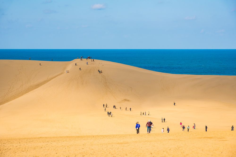 Depuis Osaka : excursion d'une journée dans les dunes de Tottori avec guide anglais