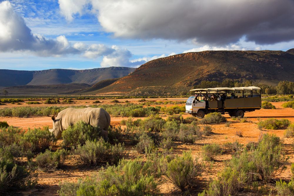 Partez en safari en Afrique du Sud avec cette offre !