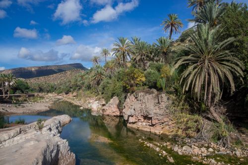 Paradise Valley