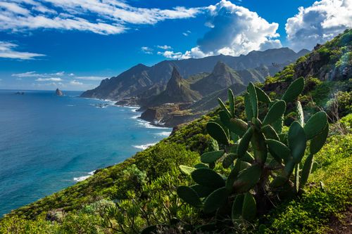 The magical Anaga Forest on Tenerife, a UNESCO Biosphere Reserve