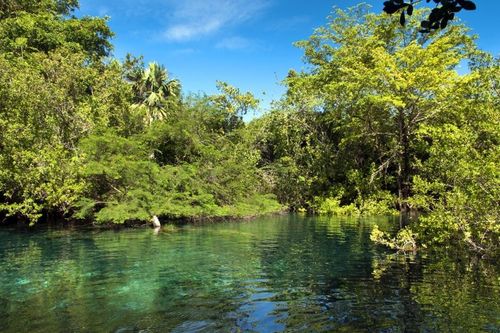 Bagno nelle sorgenti naturali della riserva ecologica Ojos Indigenas