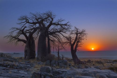 Marre des touristes ? Visitez l'Afrique ! 5 des plus beaux paysages à voir sur le continent africain