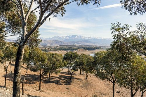 4 attività insolite da fare assolutamente nei dintorni di Marrakech