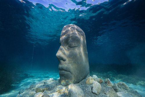 Insolite : à Cannes, cet écomusée se visite sous l'eau !