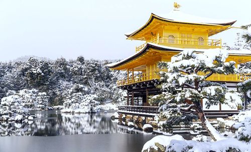 A quoi ressemble le Japon en hiver ? Spoiler : ses paysages deviennent féeriques !