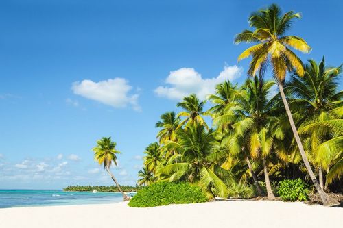 Connaissez-vous cet archipel des Caraïbes ignoré des touristes ? Un indice : il porte le nom d'un délicieux sirop !