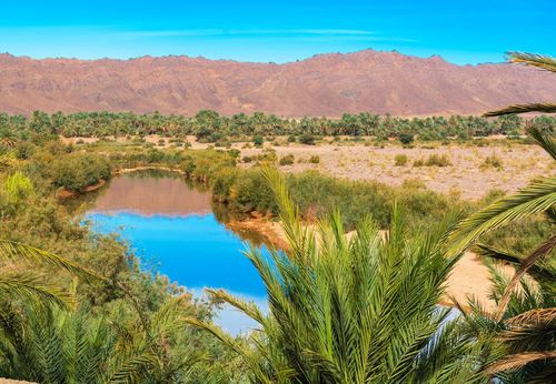 Marrakech c'est surcoté : découvrez la Vallée du Drâa !