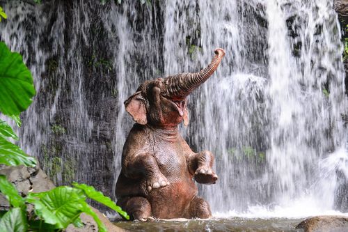 Amoureux de la nature et des animaux, voici 3 des plus belles réserves animalières à découvrir en Asie