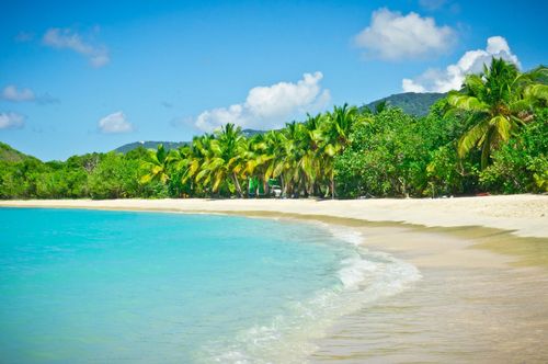 Coconut palms, turquoise waters and white sand: the British Virgin Islands, the other face of the United Kingdom