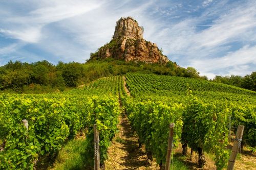 Vacances de la Toussaint : 5 activités incontournables pour s'occuper en Bourgogne (il y en a pour tous les goûts !)