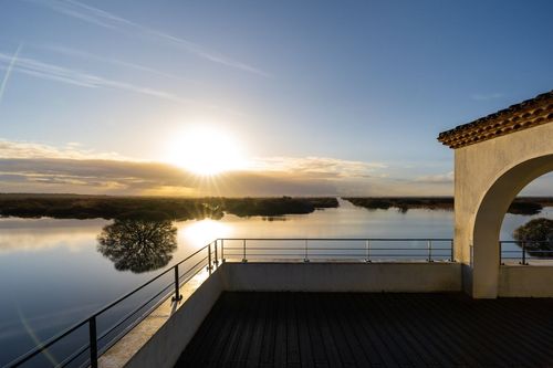 Le lac de Grand-Lieu, le secret bien gardé des Nantais à seulement 30 minutes de la cité des Ducs