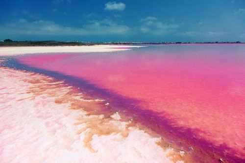 Le lac de Barbie ! L'eau rose de la lagune de Torrevieja en Espagne