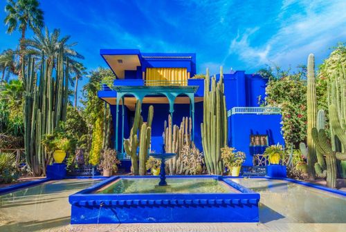 On parie que vous ne connaissiez pas ces 3 fun facts sur le jardin Majorelle à Marrakech !