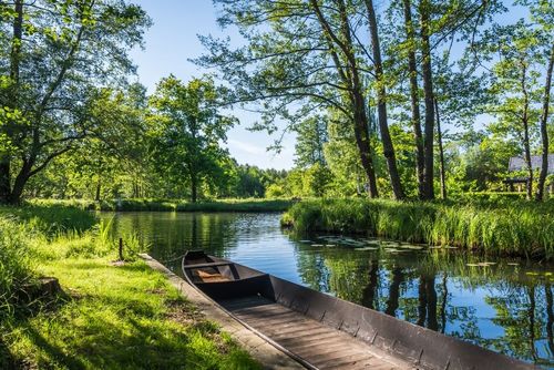 Berlin : pour un pique-nique ou des balades en pleine nature, ne manquez pas de visiter ces parcs et forêts bucoliques au printemps ou en été !