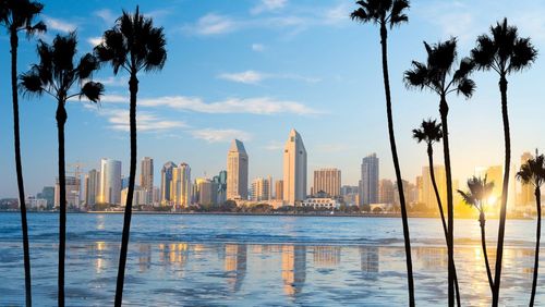 Vous partez en Californie ? Découvrez San Diego et ses pépites incontournables 