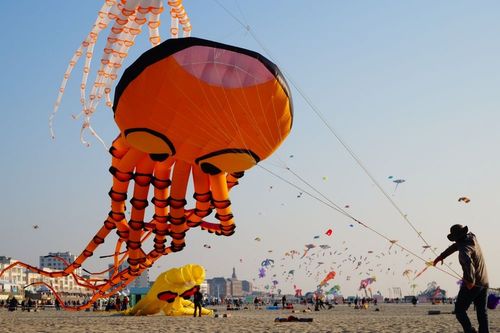 Des milliers de cerfs-volants vont égayer le ciel de Berck-sur-Mer ce week-end ! Un événement impressionnant qui dure une semaine
