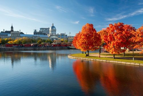 Vous partez à Montréal cet automne ? Voici quelques idées de visites à ne pas manquer