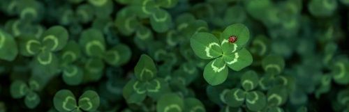 Si vous êtes superstitieux, voici 5 lieux où vous devez faire un vœu en France ! 