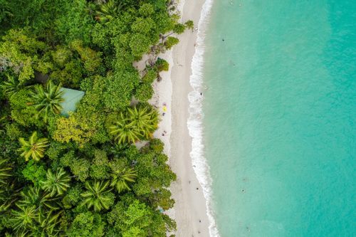 Du Pacifique aux Caraïbes, 10 spécialités typiques à découvrir au Costa Rica 